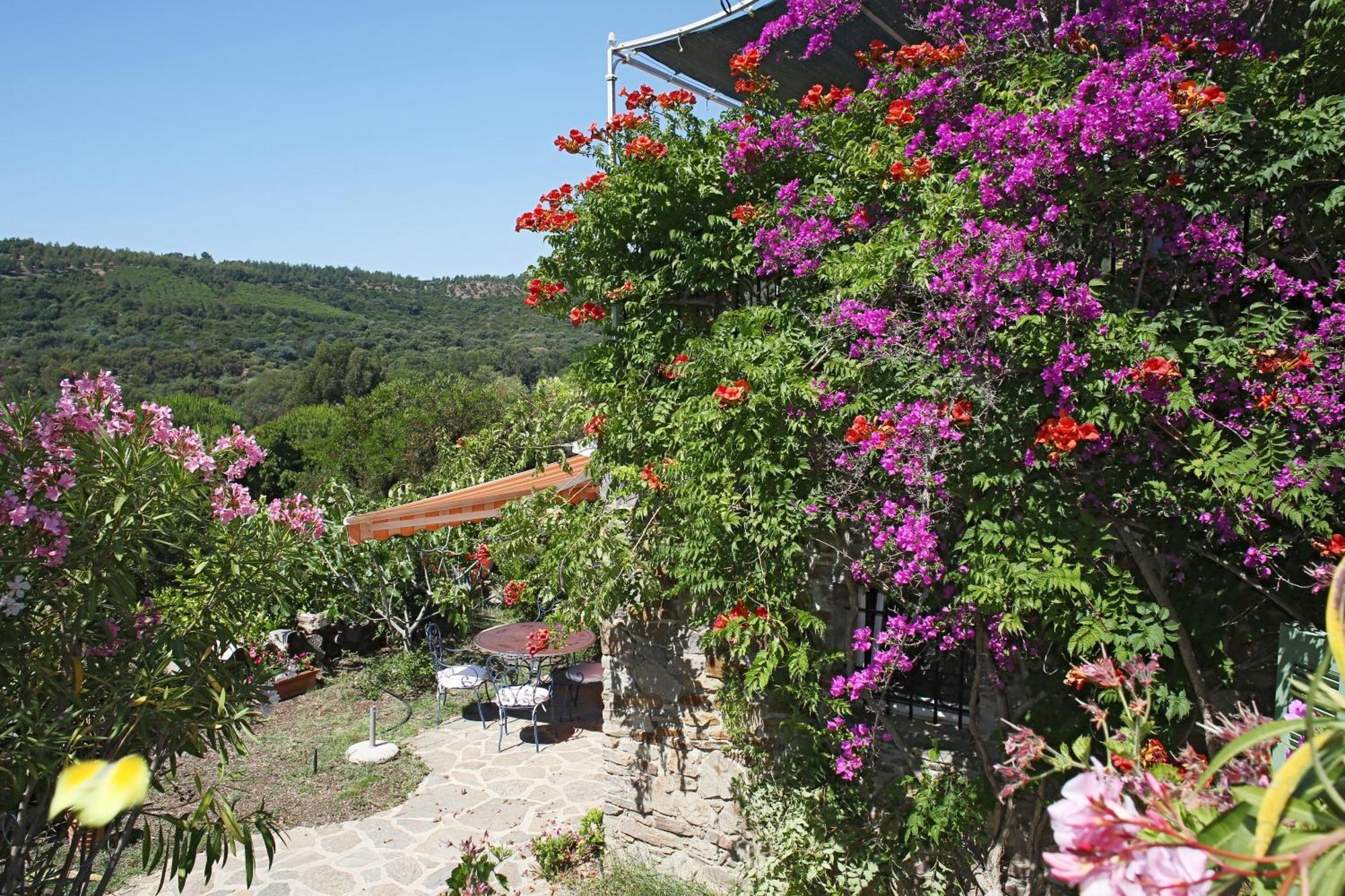Villa Carpe Diem เลอลาวองดูว์ ภายนอก รูปภาพ
