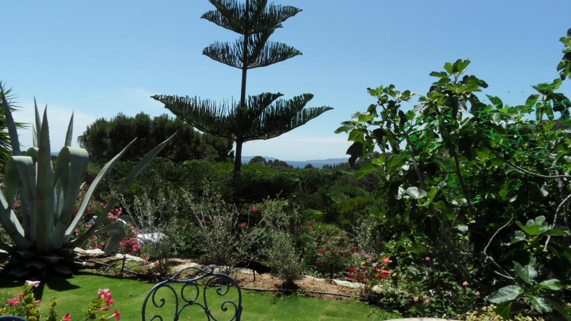 Villa Carpe Diem เลอลาวองดูว์ ภายนอก รูปภาพ